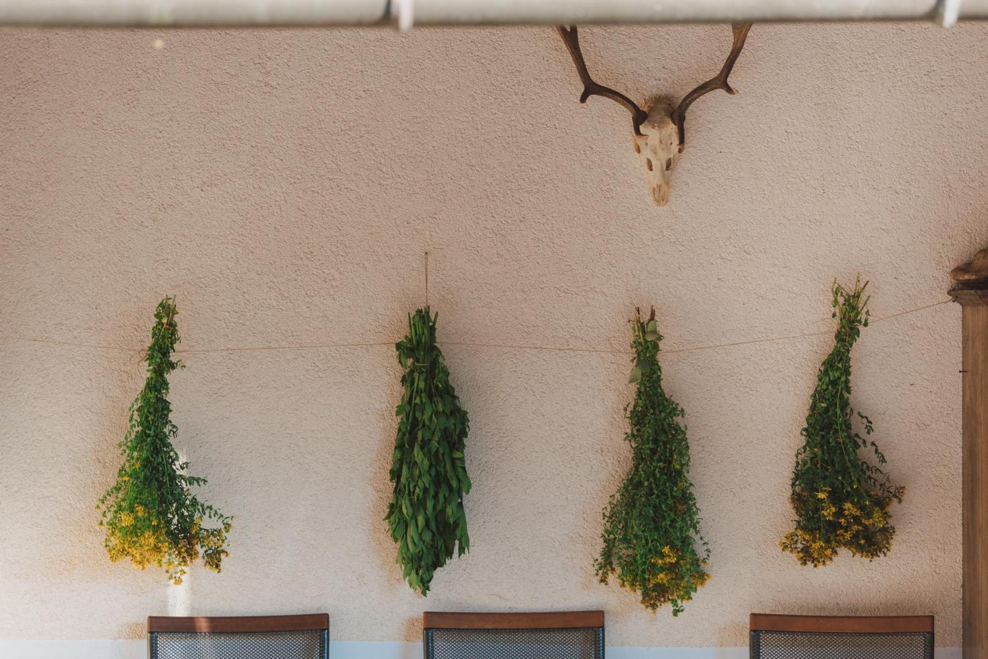 Tourist Farm Pr'Dovar Cerklje na Gorenjskem Dış mekan fotoğraf