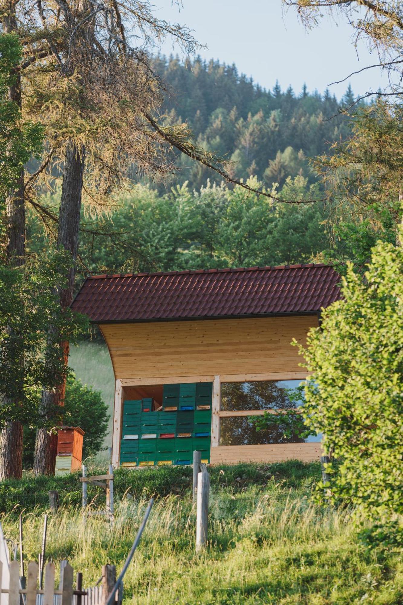 Tourist Farm Pr'Dovar Cerklje na Gorenjskem Dış mekan fotoğraf