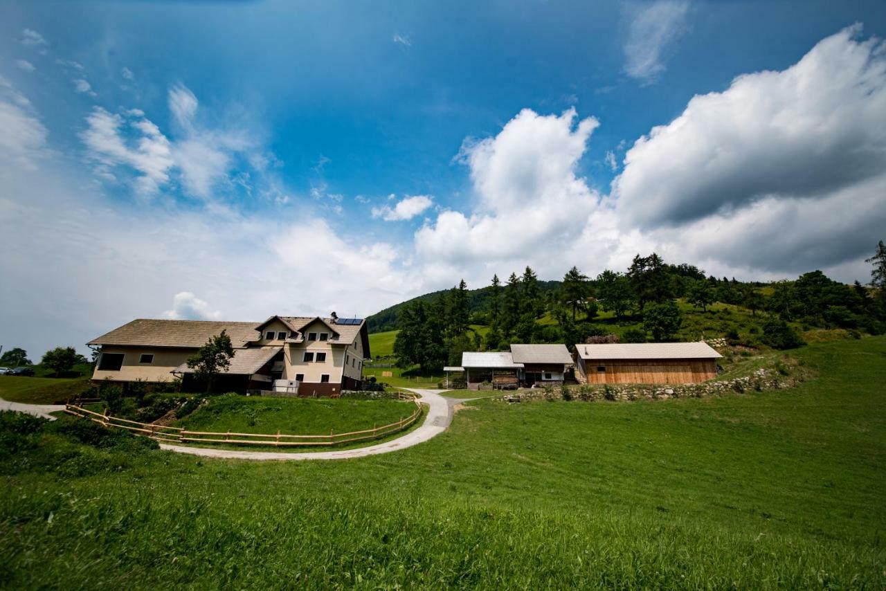 Tourist Farm Pr'Dovar Cerklje na Gorenjskem Dış mekan fotoğraf